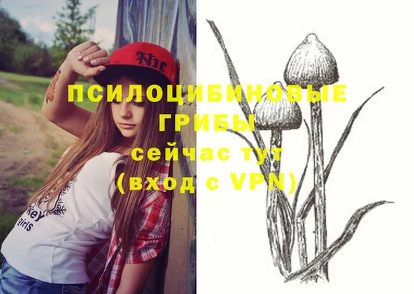 хмурый Алексеевка