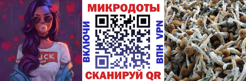Галлюциногенные грибы Cubensis  Куртамыш 