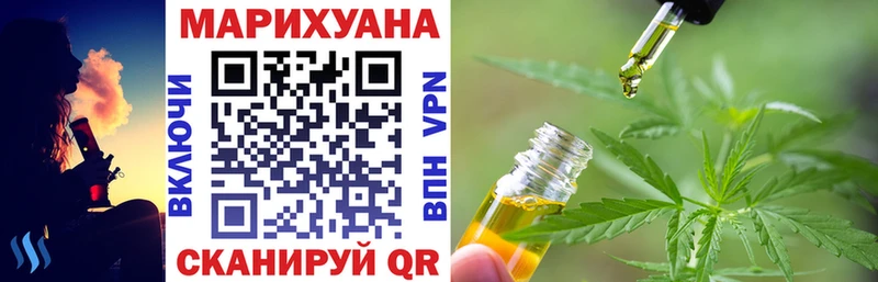 ссылка на мегу вход  Куртамыш  Шишки марихуана тримм 